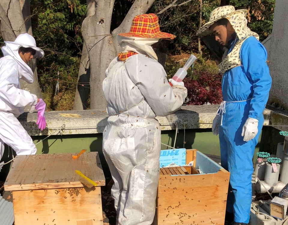 みつばちプロジェクトが、山田養蜂場・山田社長に巣箱を見ていただきました