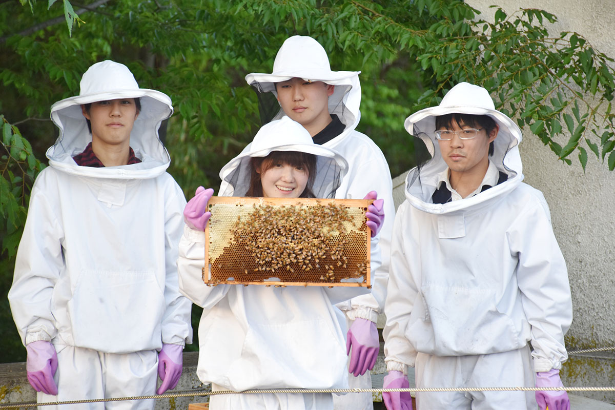 みつばちプロジェクトが今年度初めての採蜜